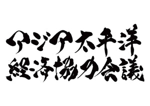 アジア太平洋経済協力会議