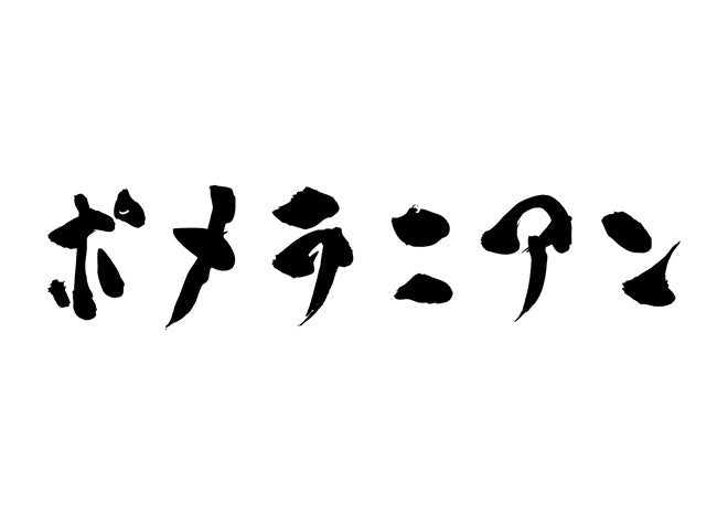 ポメラニアン