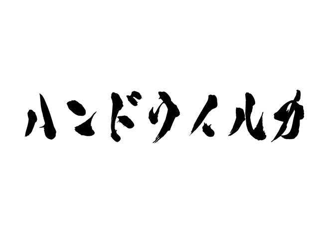 ハンドウイルカ