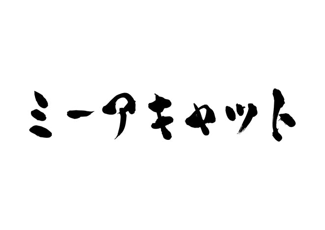 ミーアキャット