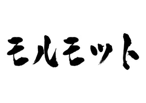 モルモット