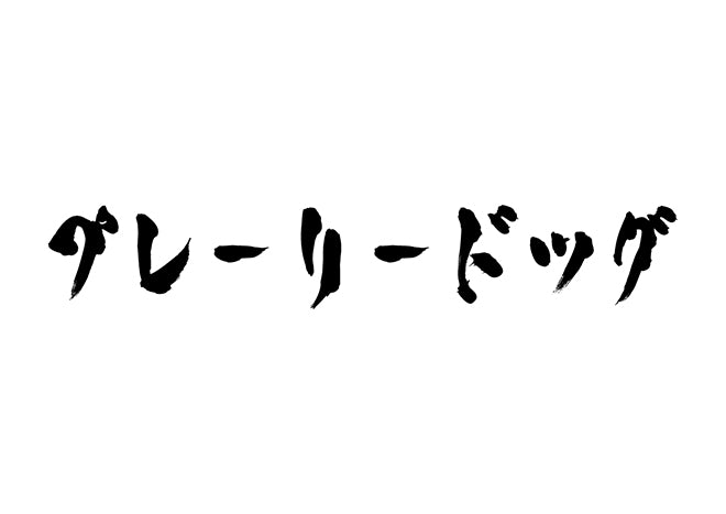 プレーリードッグ