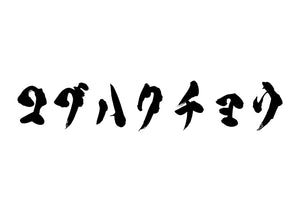 コブハクチョウ