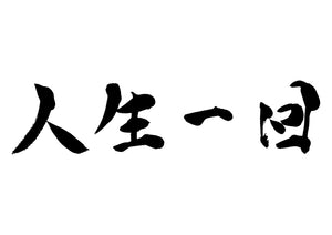 人生一回