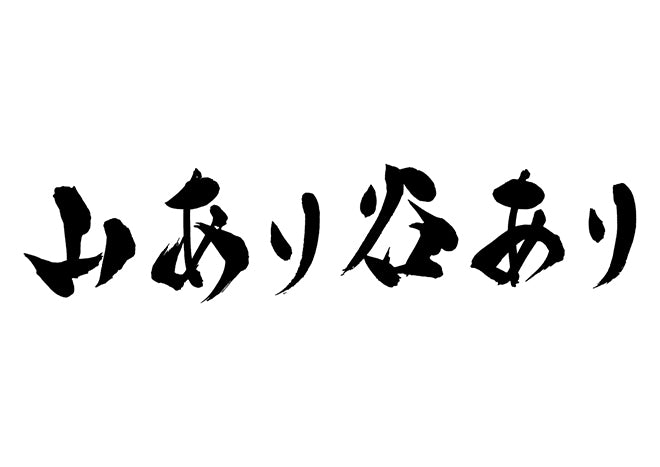 山あり谷あり