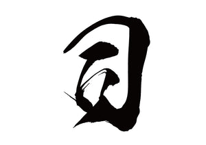 司
