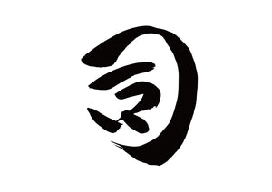 司