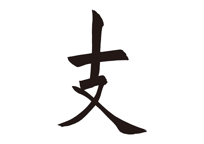 支
