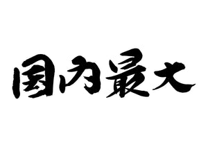 国内最大