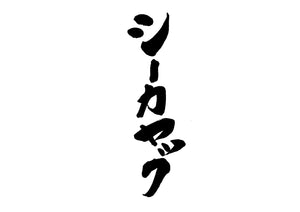 シーカヤック