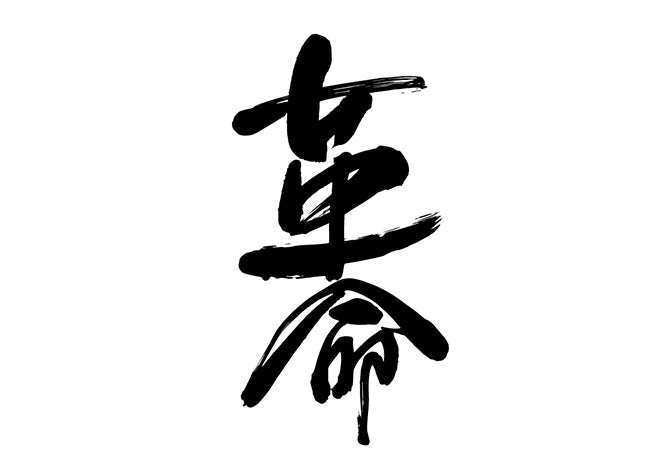 革命