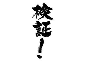 検証!