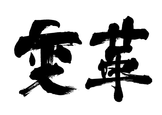 変革