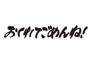 おくれてごめんね！