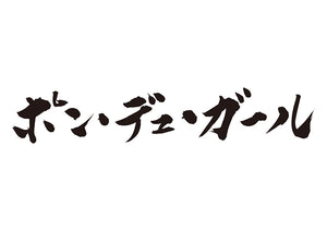 ポン・デュ・ガール