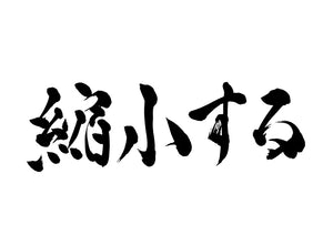 縮小する