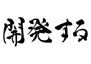 開発する